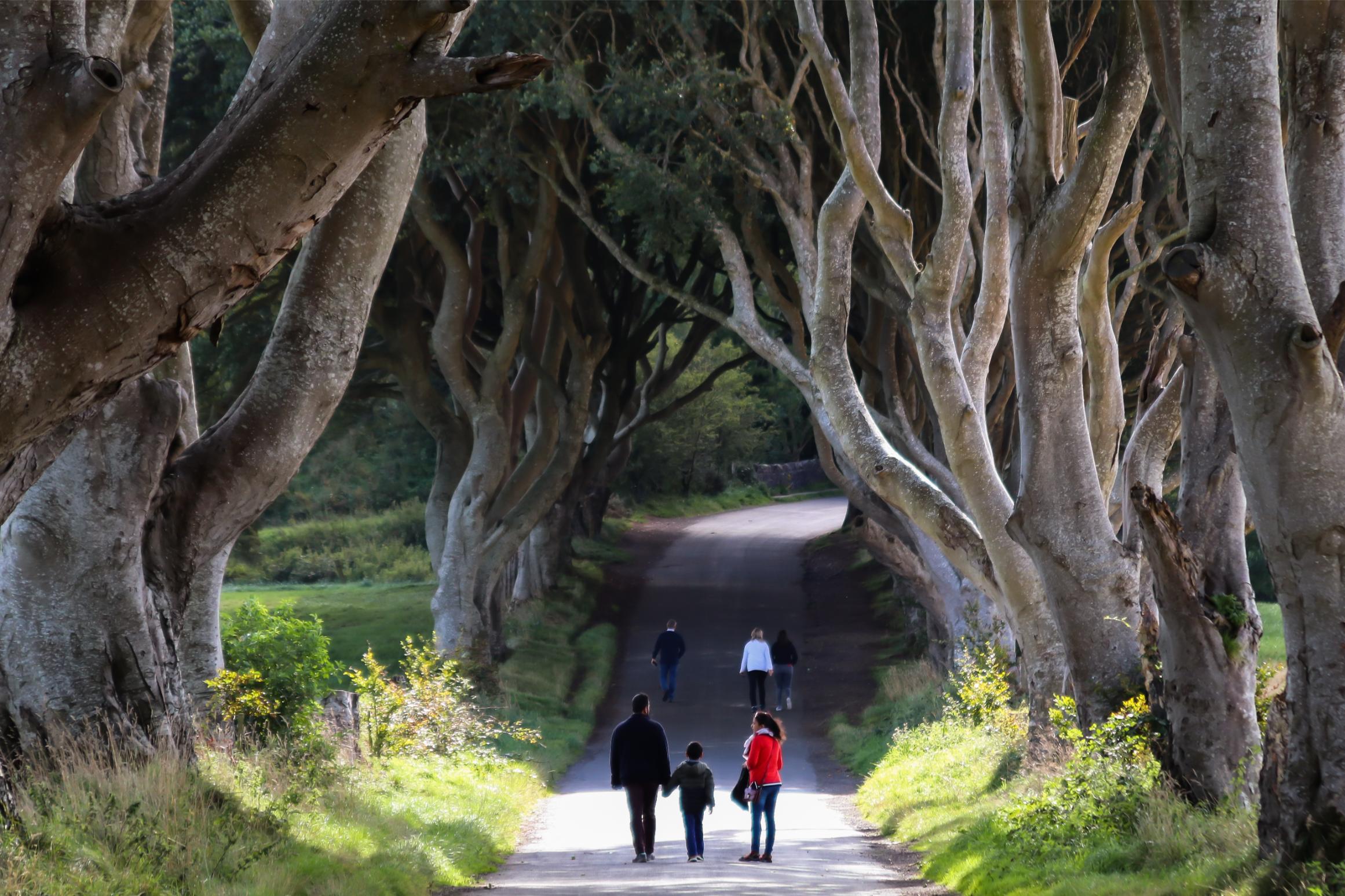 Giant’s Causeway Tour